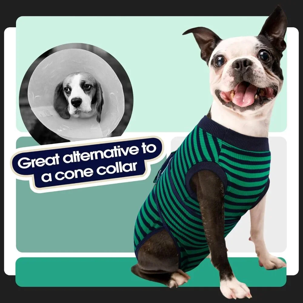 Recovery Suit for Dogs